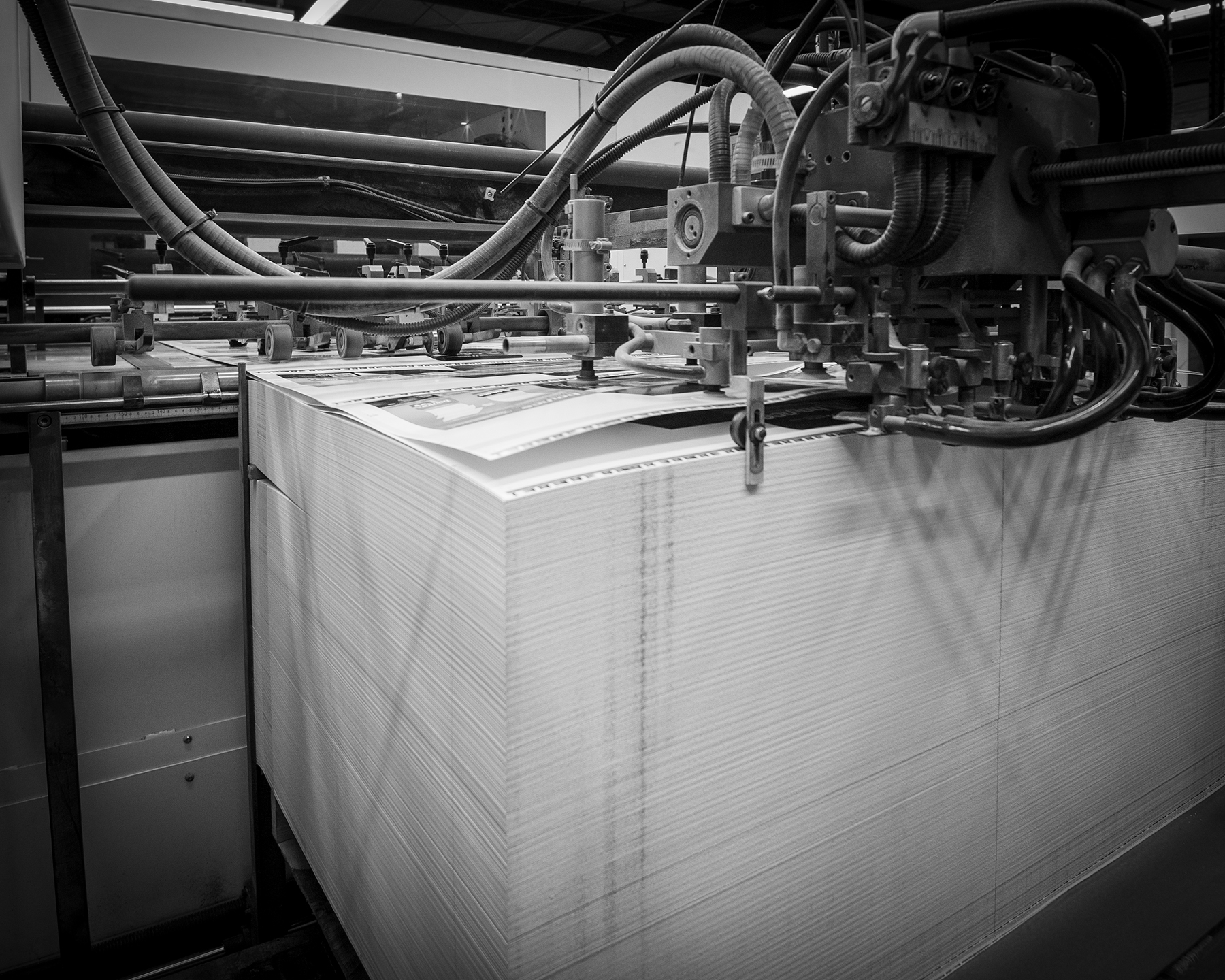 Large Format Printing & Packaging